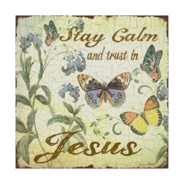 Trademark Fine Art Jean Plout 'Stay Calm Jesus Butterflies' Canvas Art, 24x24 ALI37485-C2424GG